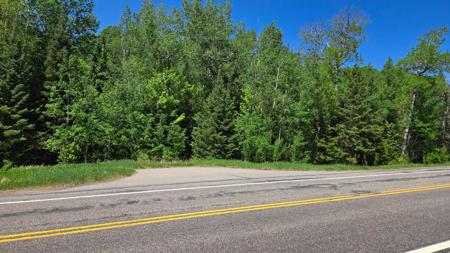 TBD 21 Nett Lake Road