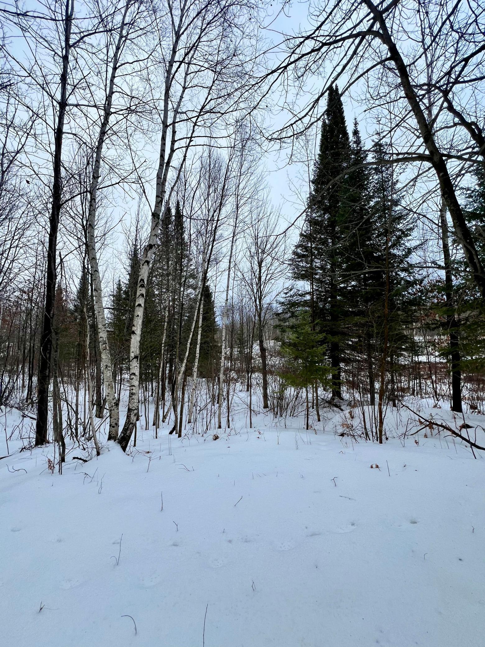 Image 4 Image 4