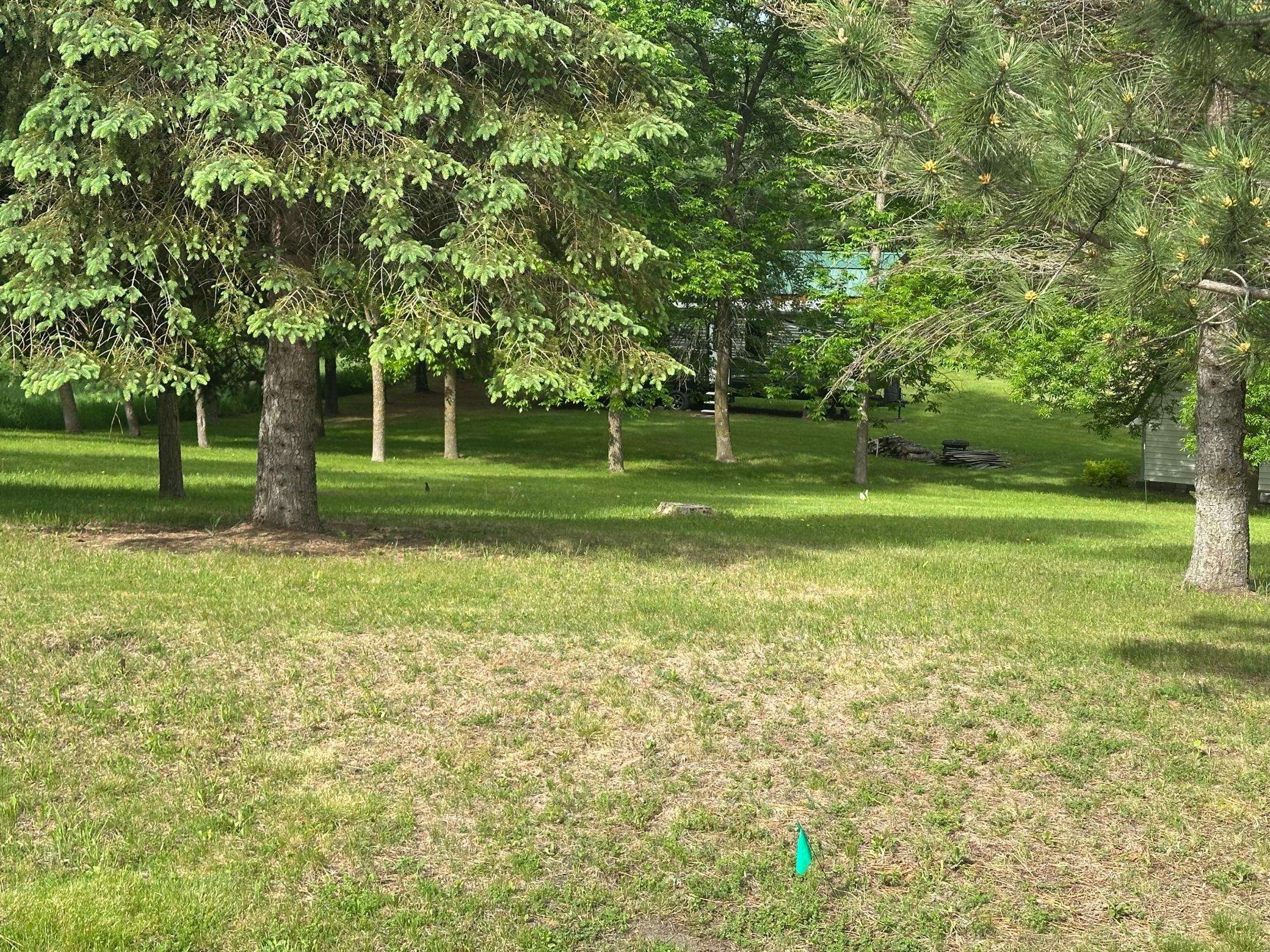 Image 2 Image 2