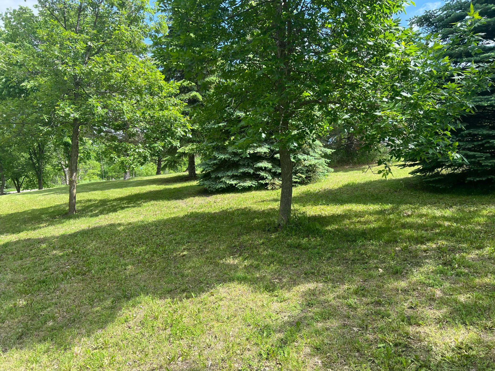 Image 4 Image 4