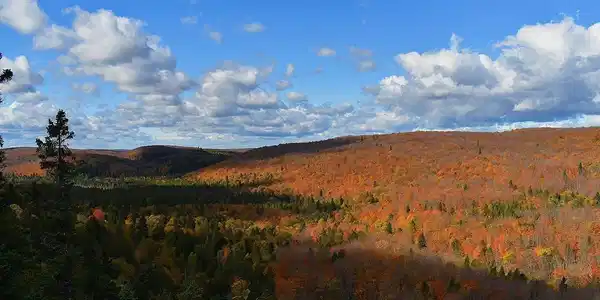 xxx Pine Peak