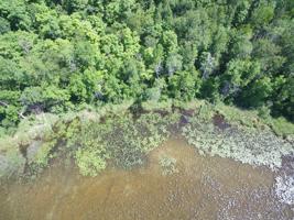 Lot 1 Deer Lake