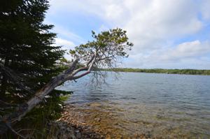 38628 Juggler Lake