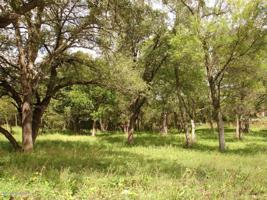 3826 Eagle Ridge