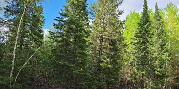 Lot 3 Block 2 Gold Shores 2nd Addition County Rd 138