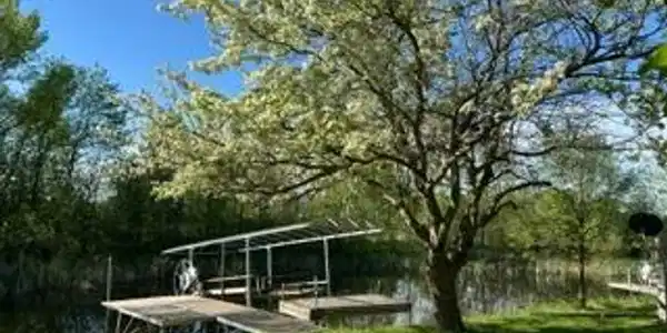 Image 2 Image 2