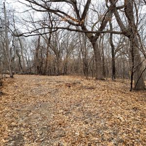 XXXX Eriks Boulevard