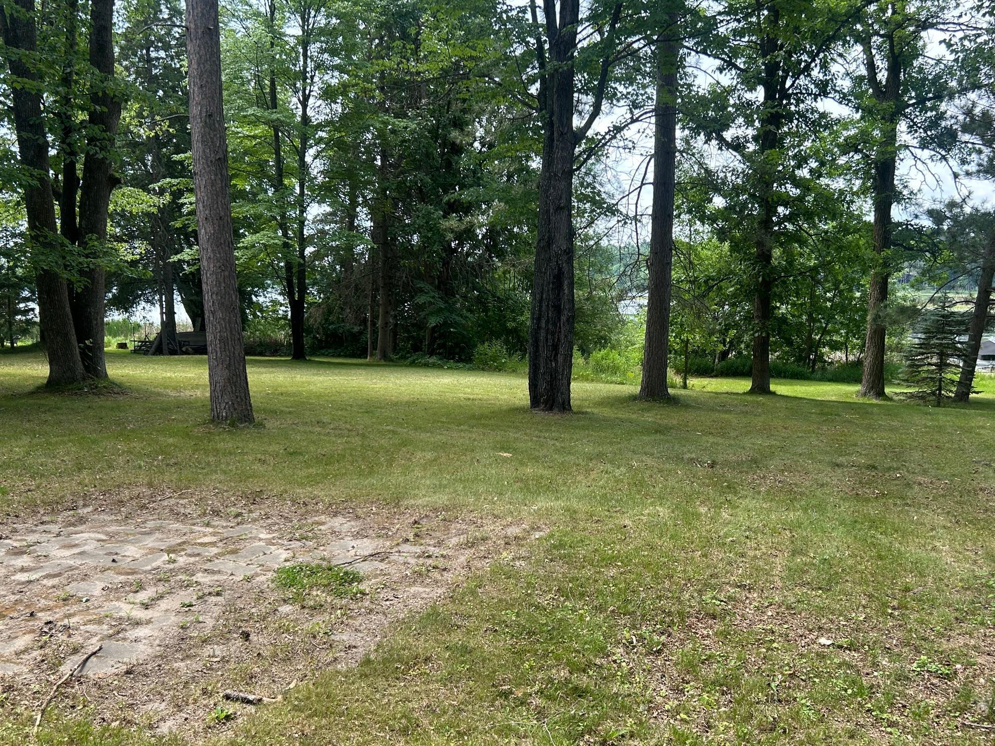 Image 4 Image 4