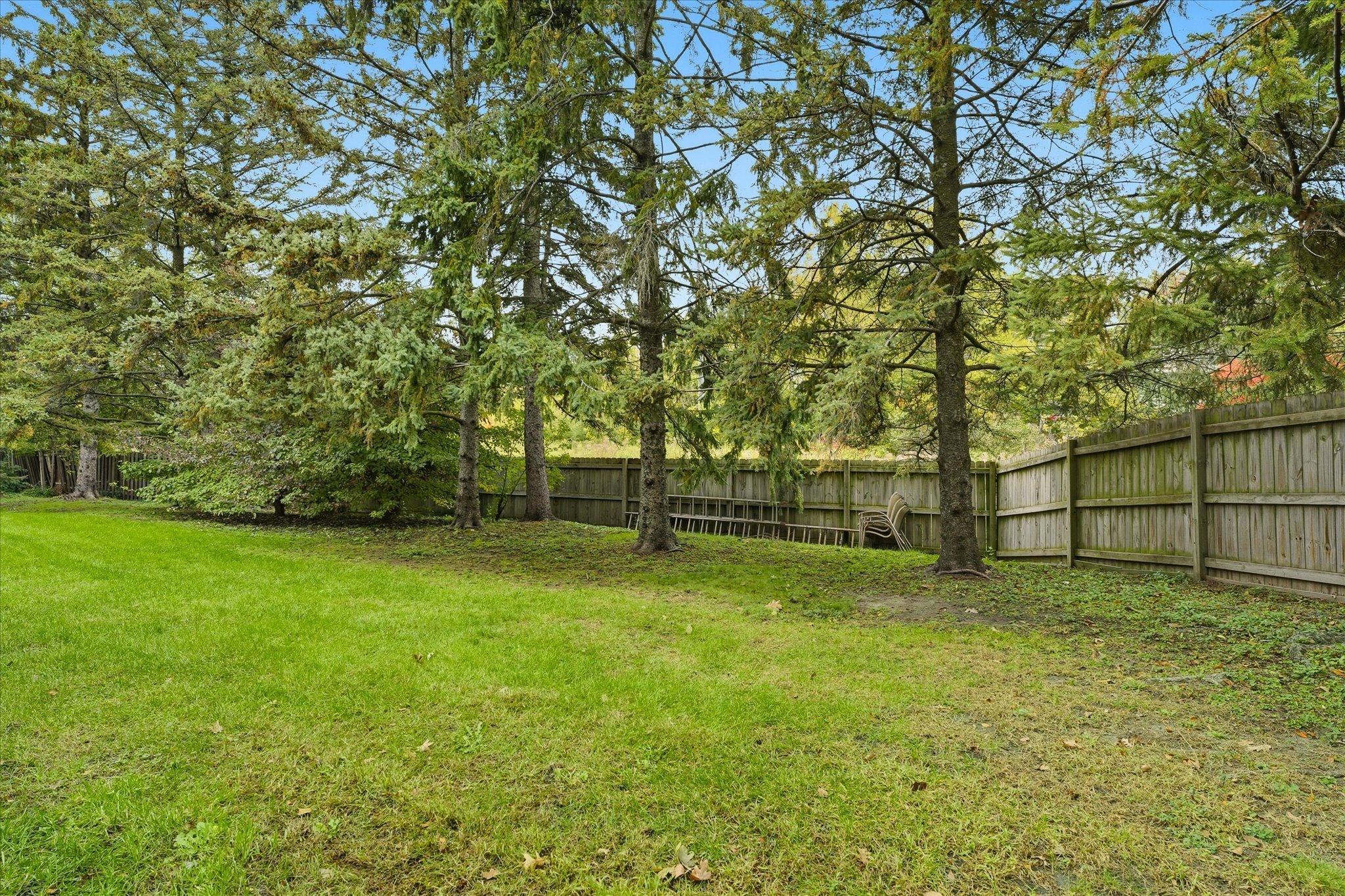 Image 4 Image 4
