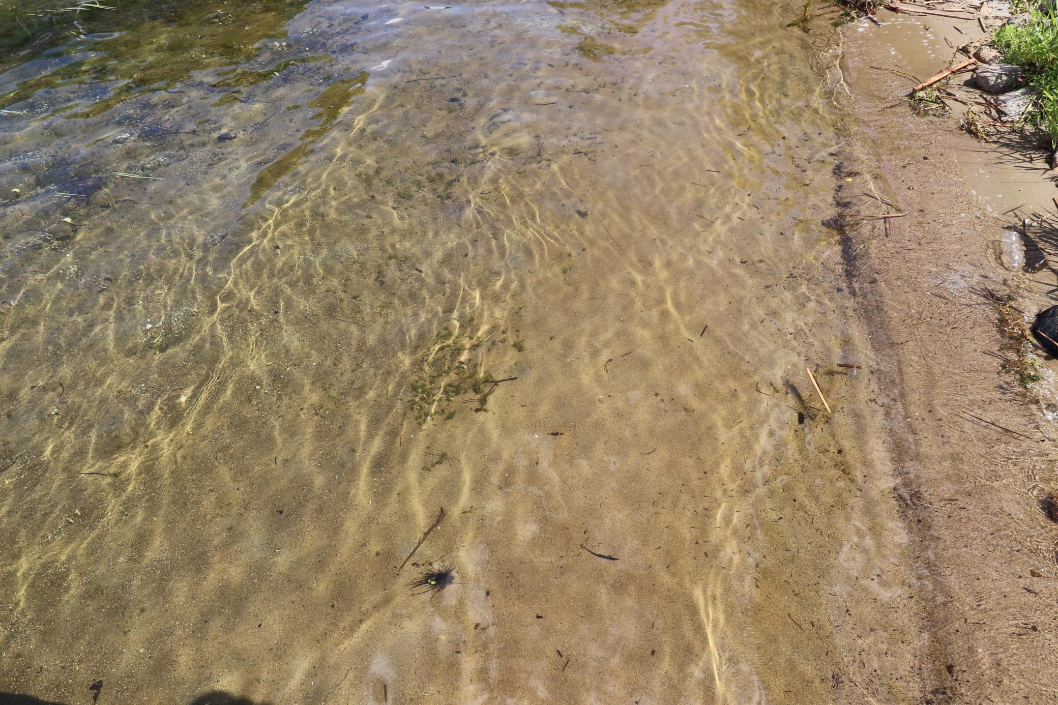 Image 3 Image 3