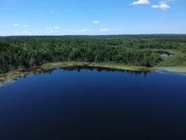TBD S Pickerel Road