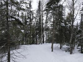 TBD South Pickerel Road