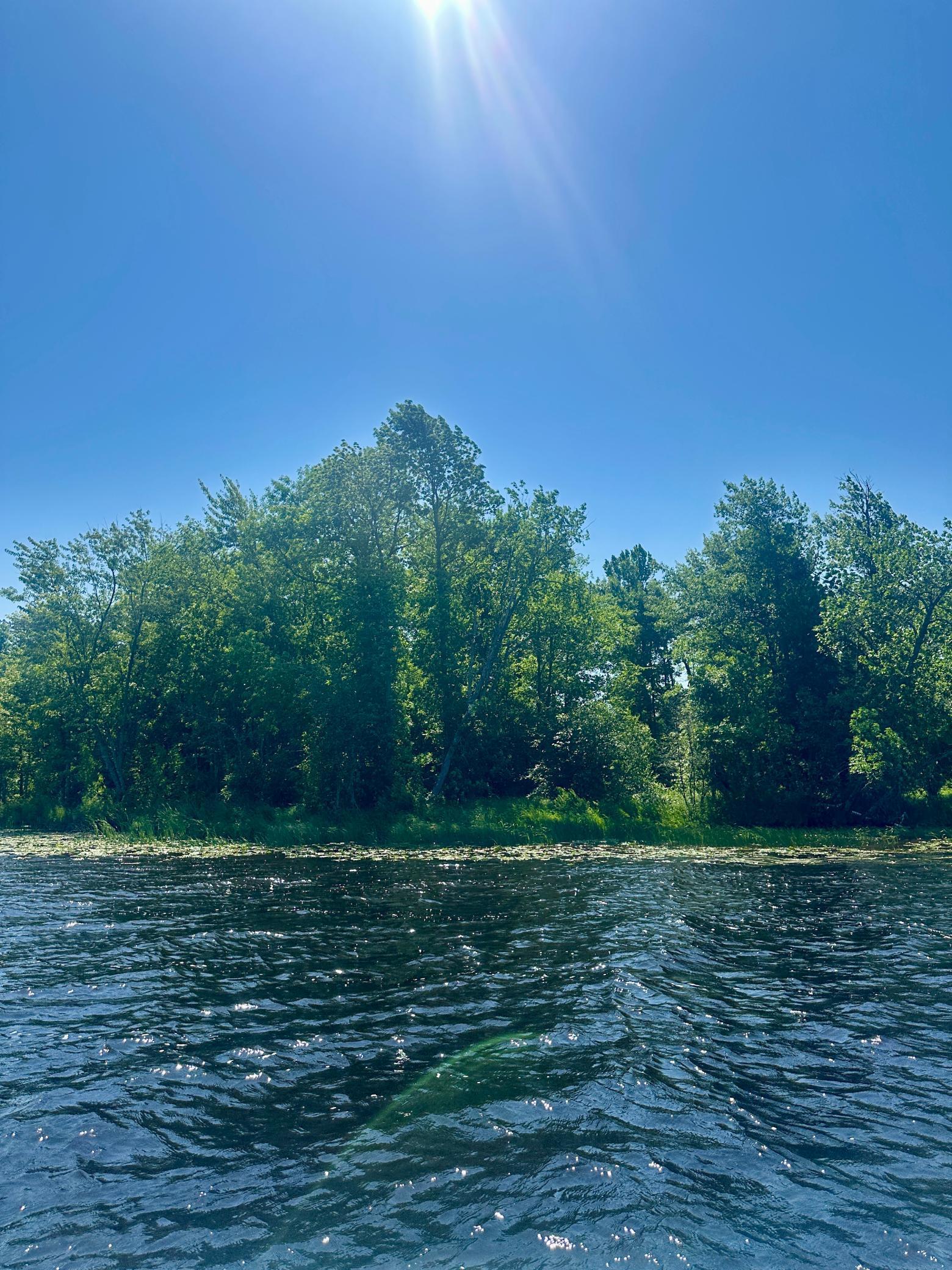 Image 1 Image 1