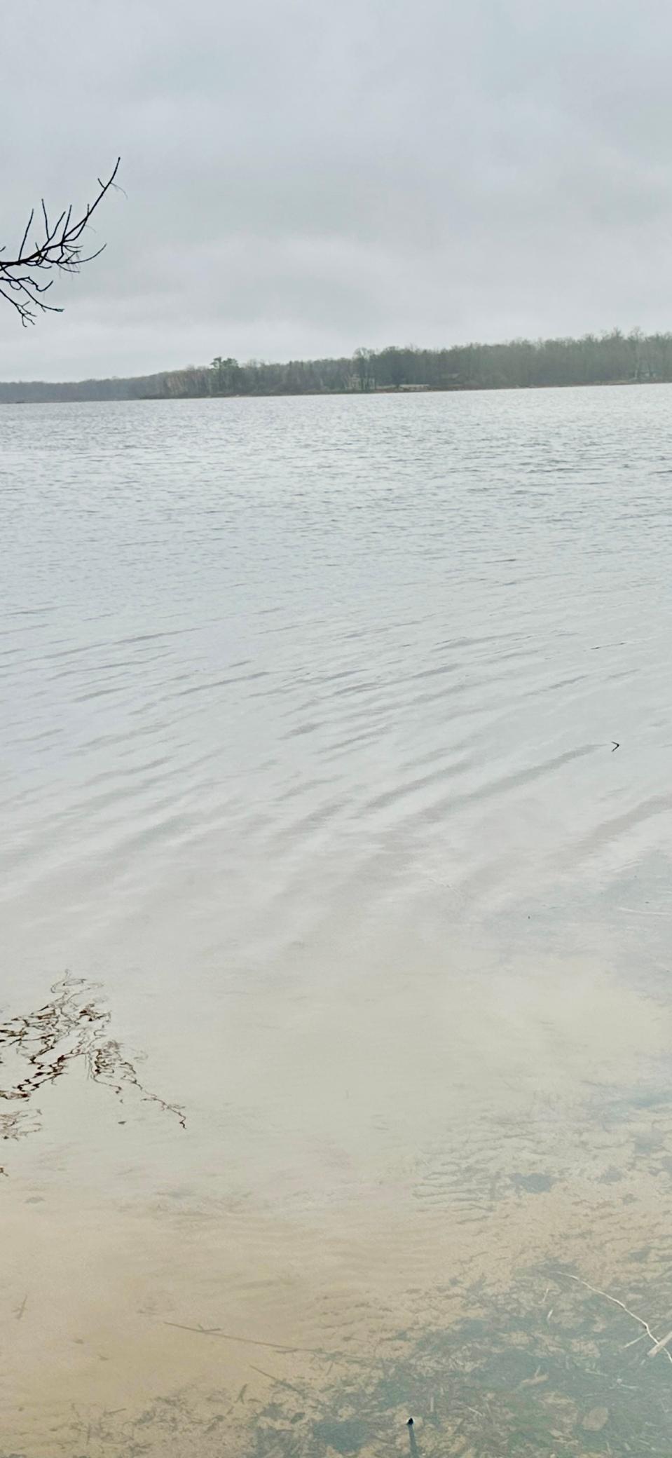 Image 4 Image 4