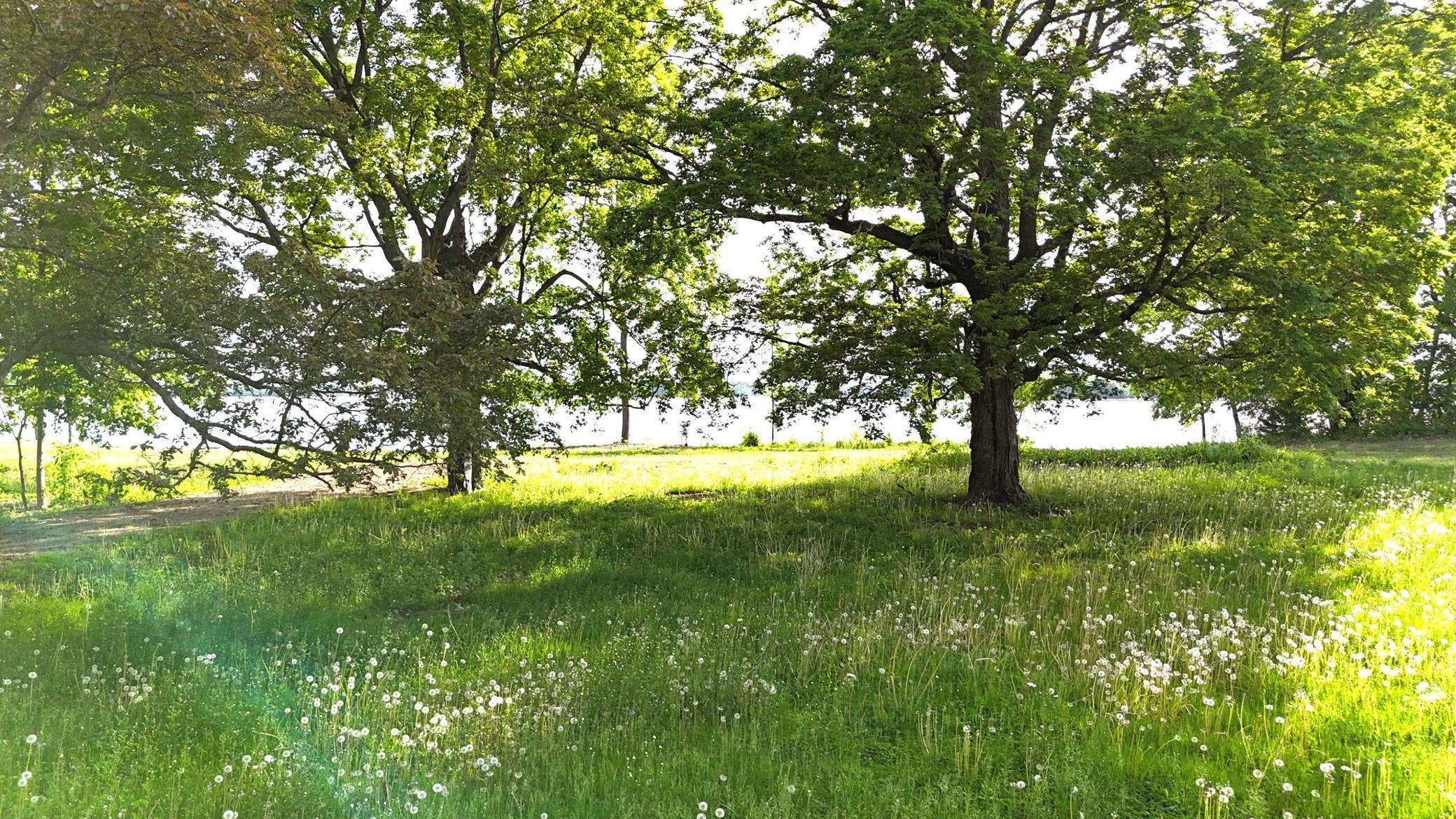 Image 4 Image 4