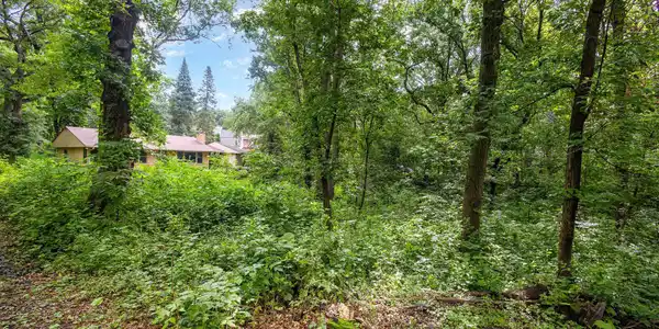 1431 Skiles Lane