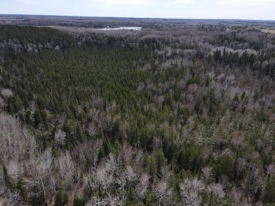 TBD CO Rd 40