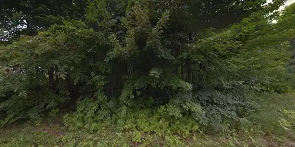 Image 2 Image 2