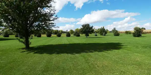 31 Lakeview