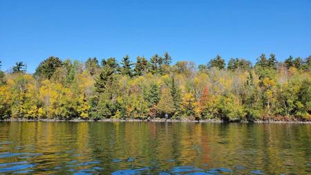 TBD Pine Island