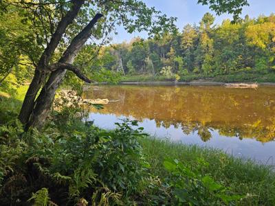 Lot 5 Blk 1, 5.4  Acres County Road 30