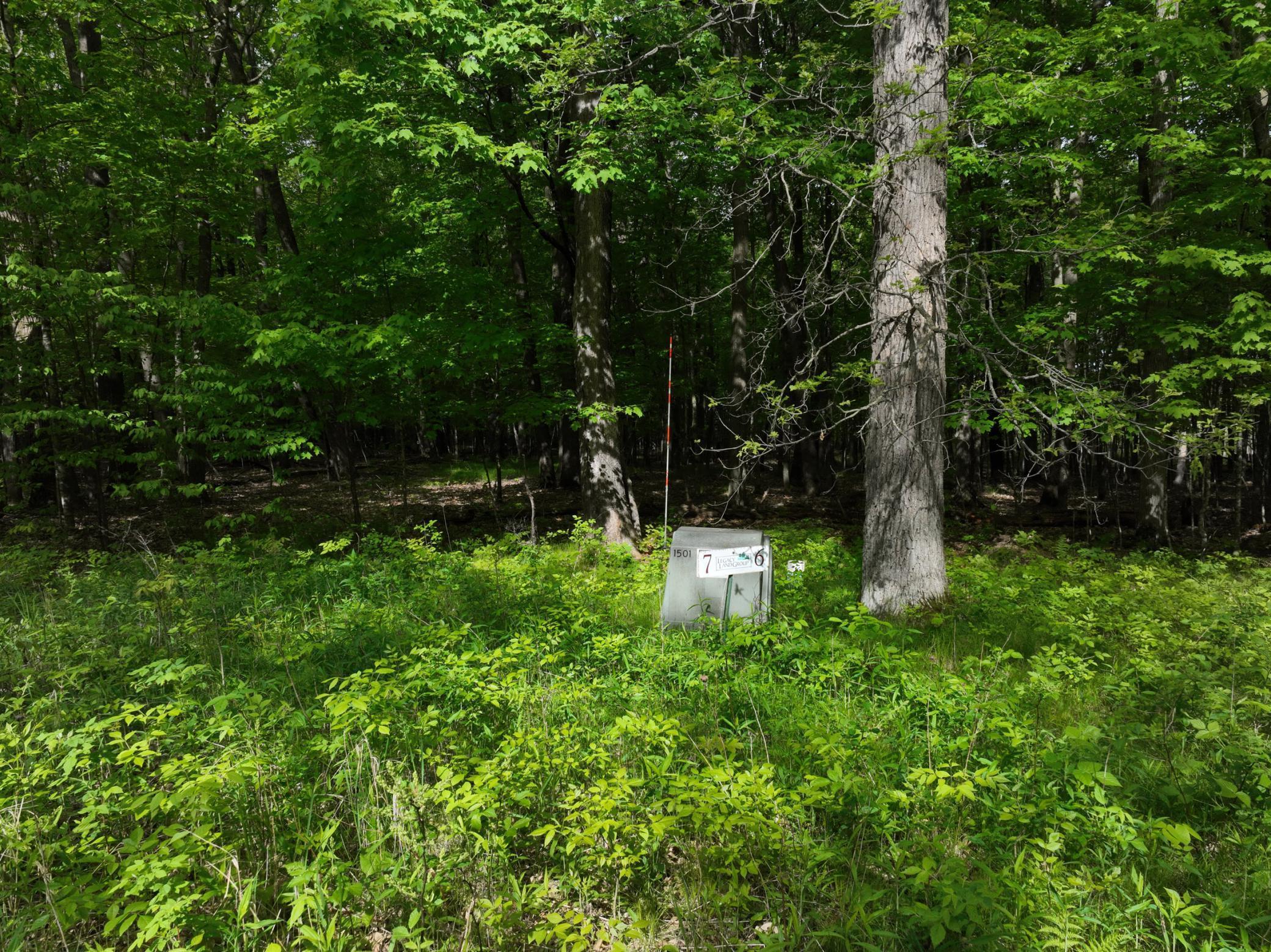 Image 4 Image 4