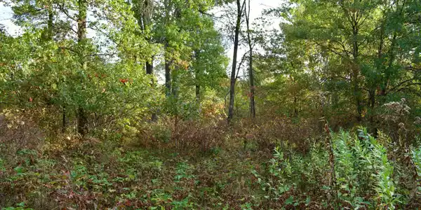 Image 4 Image 4