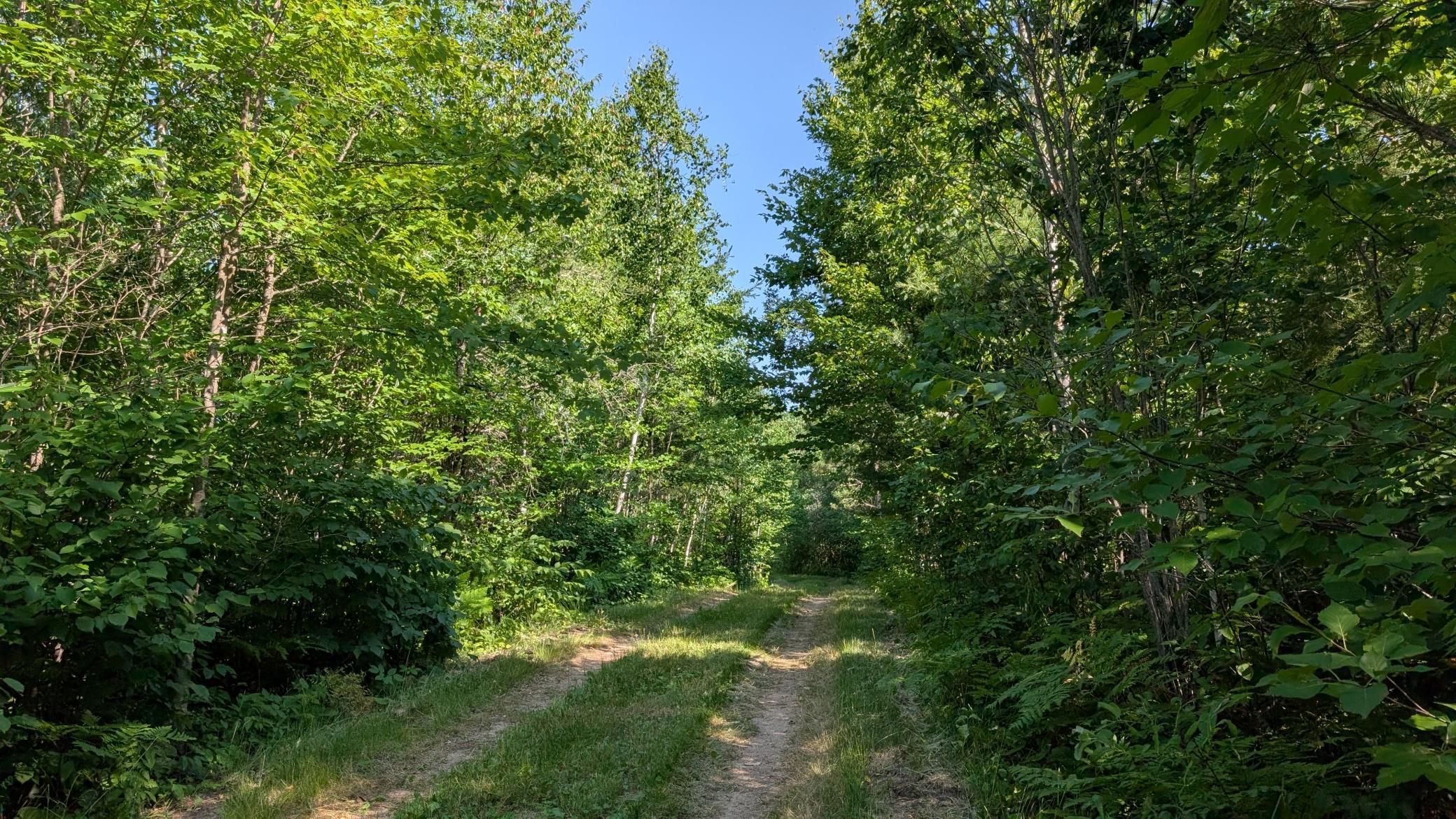 Image 4 Image 4