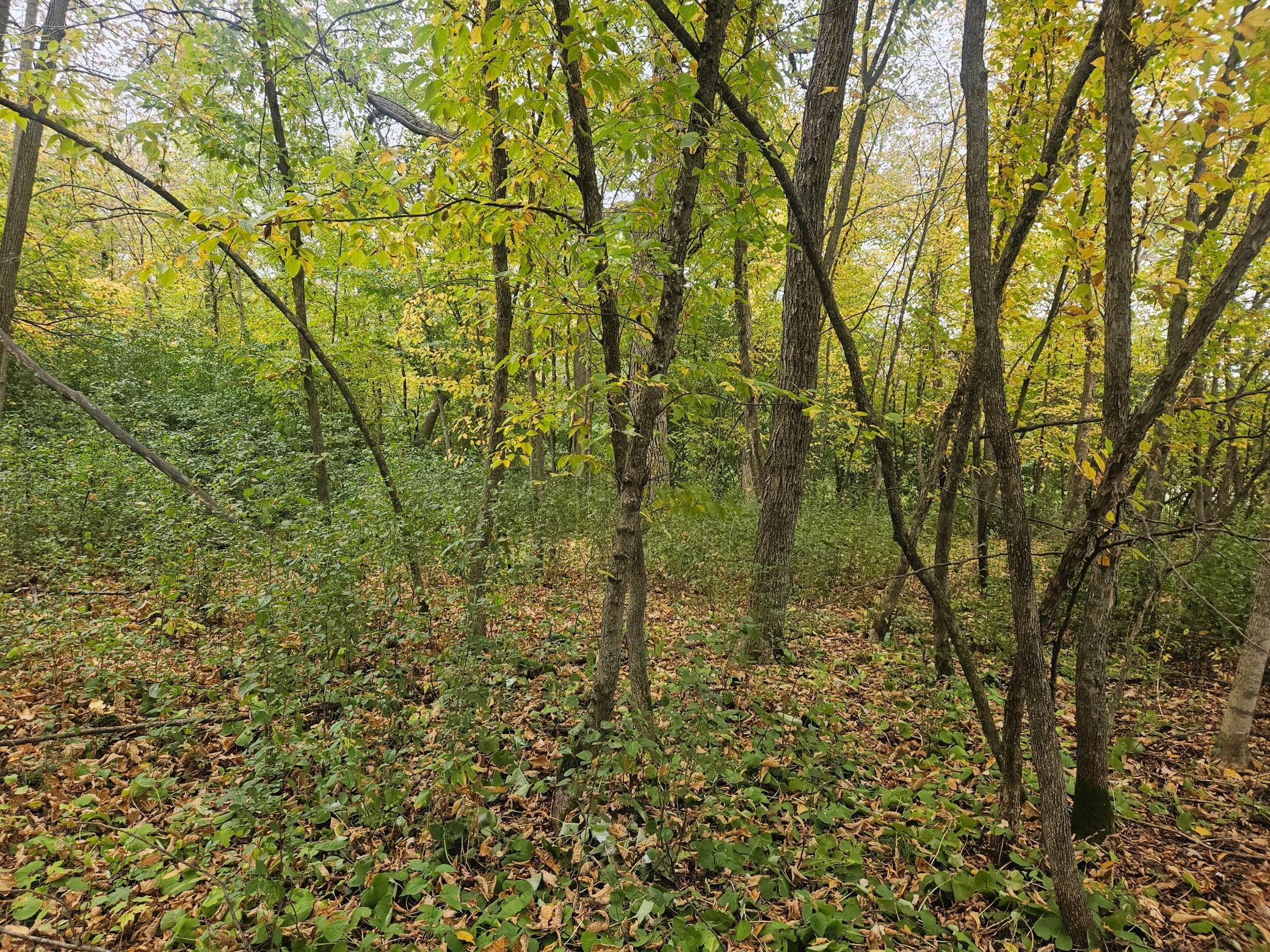 Image 4 Image 4
