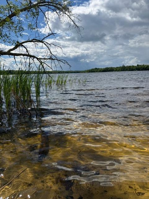 Image 1 Image 1