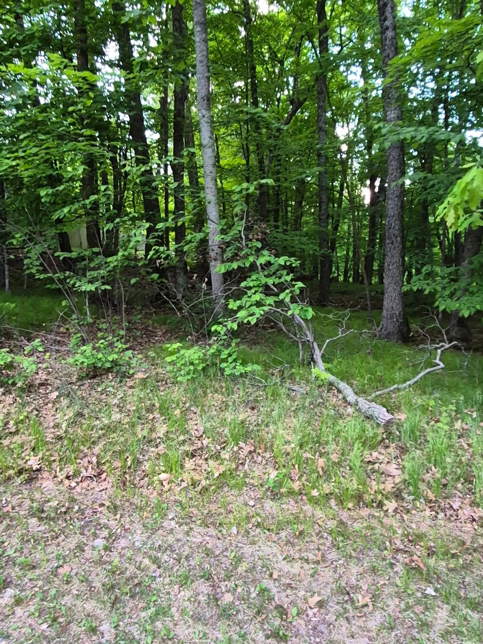 Image 1 Image 1