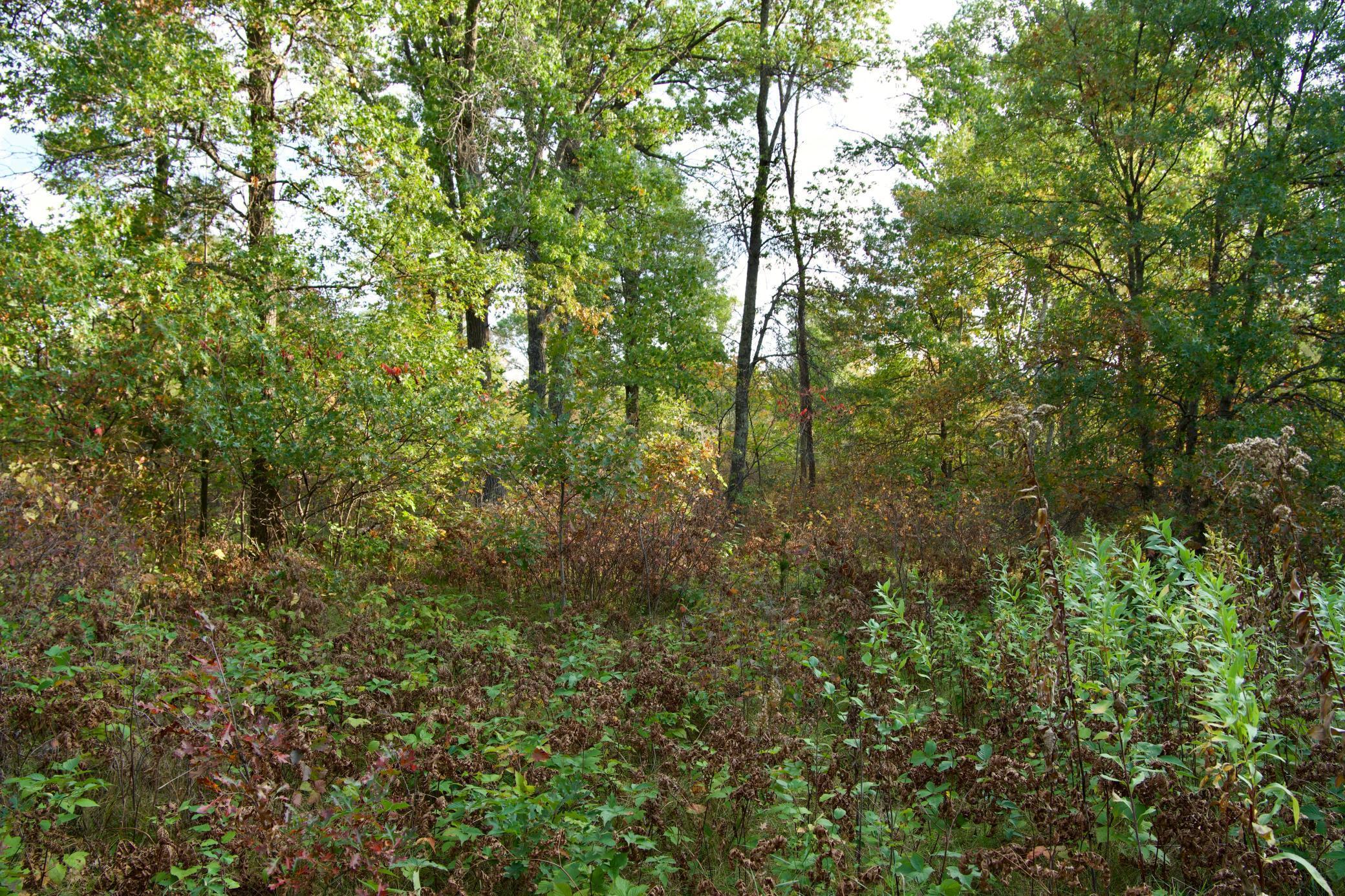 Image 4 Image 4