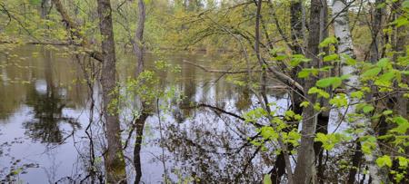 Parcel E 17 Acres County Road 30