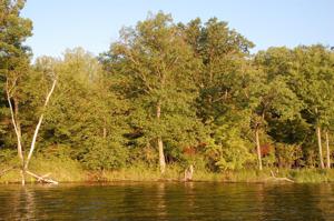 TBD Lot C Eaglewood Dr
