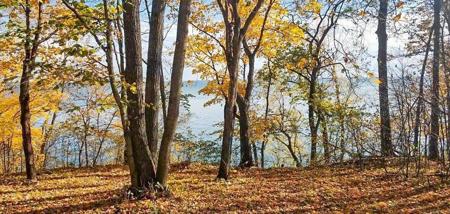 TBD Lot 19 Ni Gig Trail