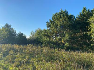 Lot 4 Blk 1 68th
