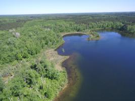TBD Forestry Rd