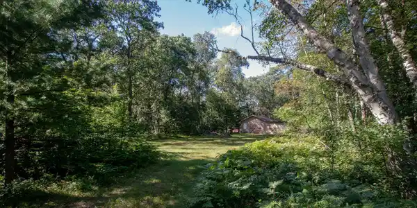 25907 Birch