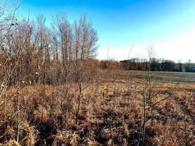 TBD-Parcel 4 160th