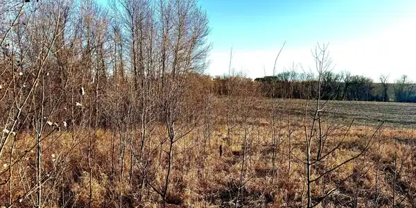 TBD-Parcel 4 160th