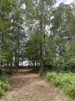 TBD County 17 Road
