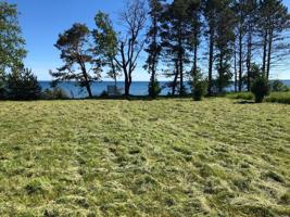 3887 Chippewa Trail