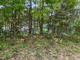 19094 Koetter Lake Road
