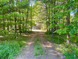 87321 Woodstock Road