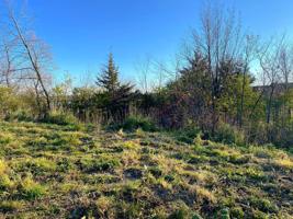 11501 Lakewood NE