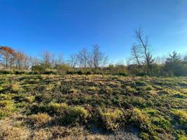 11513 Lakewood NE