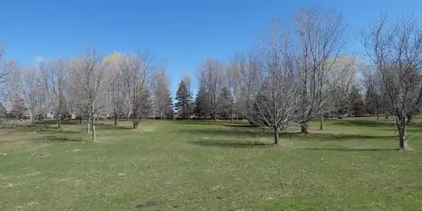 2 Pheasant