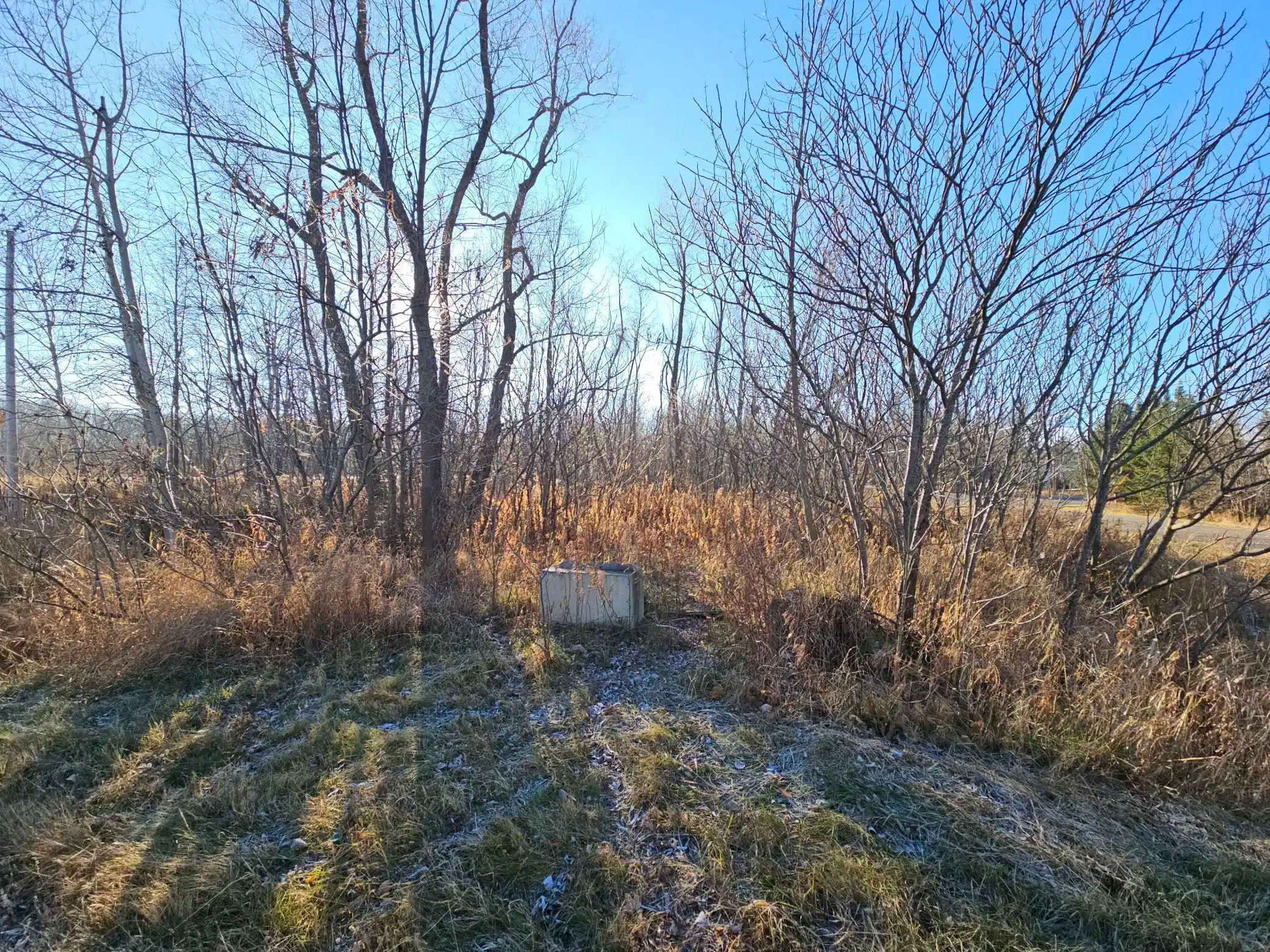 Image 1 Image 1