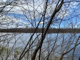 LOT 4 Woodtick NW