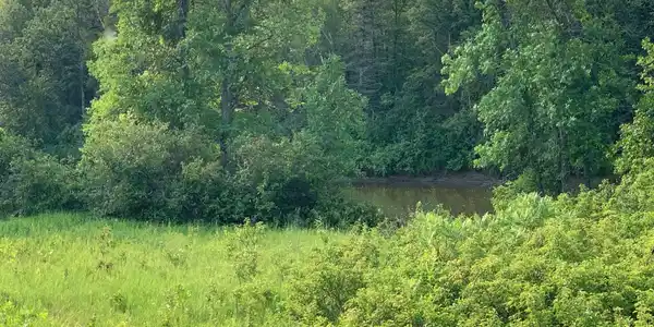62354 Great River